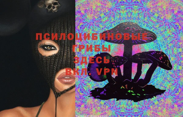apvp Надым
