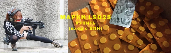 apvp Надым