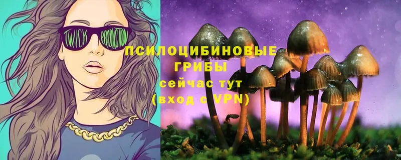 Псилоцибиновые грибы Psilocybe  Барыш 